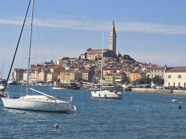 Photo 1 by Stephen P. (4/9/26)