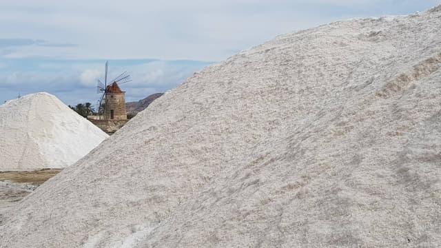Foto 1 di Nevio V. sul noleggio di una Jeep Renegade a Palermo (in centro) (01/10/22)