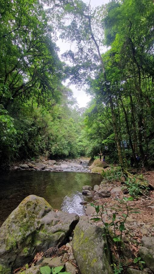 Photo 1 by Kirsty B. about hiring a Toyota Corolla Cross in Costa Rica (12.04.25)