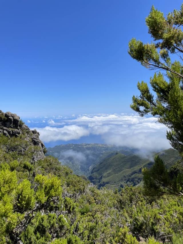 Photo 2 par Laetitia R. (21/07/23)