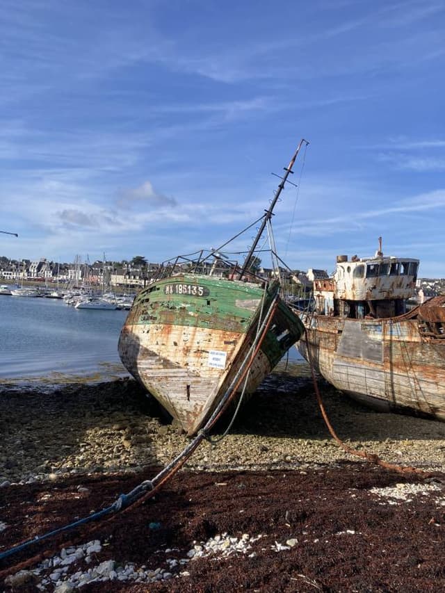 Photo 5 by Barbora P. (9/30/25)