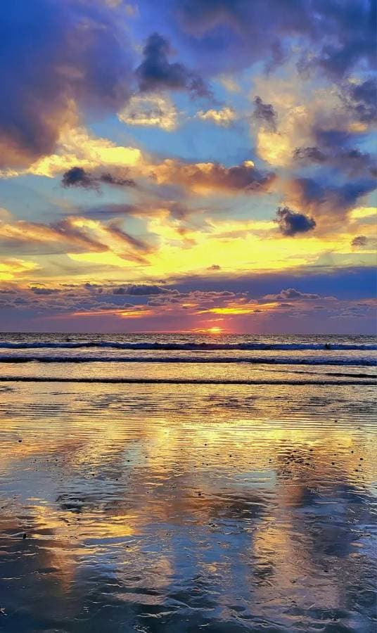 Photo 1 par Jean pierre R. (19/02/24)