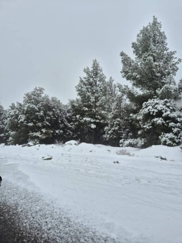 Zdjęcie 1 wykonane przez Karol S. (27.01.25)
