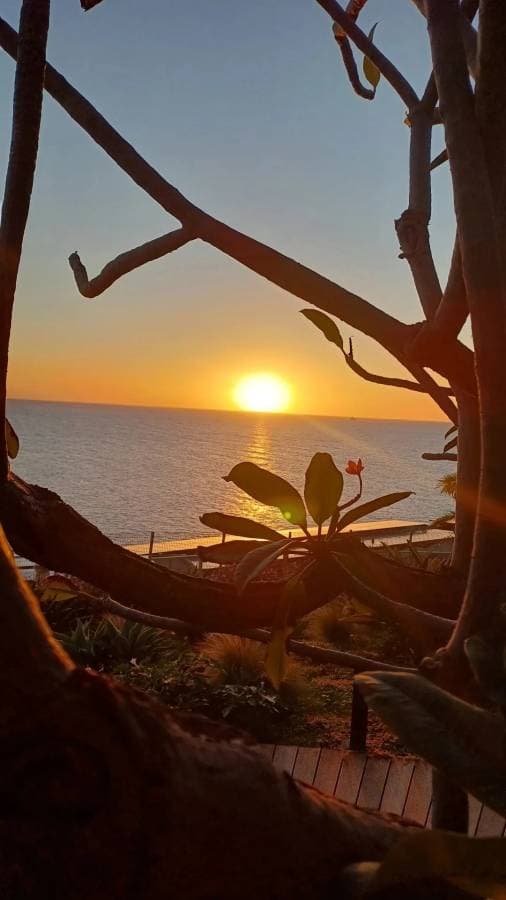 Foto 1 de Elsa B. (24/11/25)