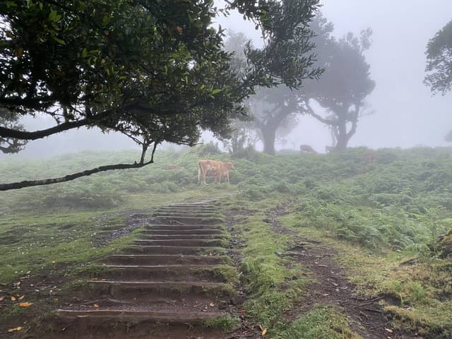 Foto 4 van Gilbert G. (6-8-24)