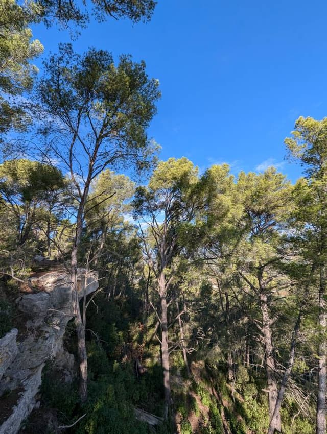 Photo 1 by Antoine B. about renting a Renault Megane in Marseille (10/25/24)