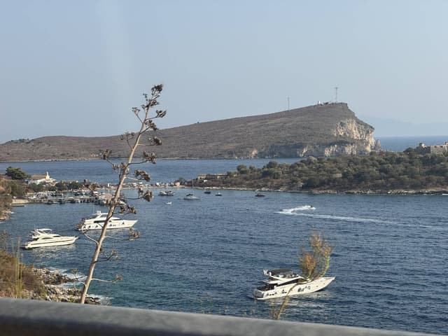 Photo 1 par mohamed lamin E. (29/08/25)