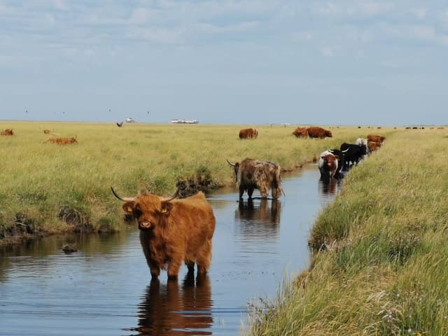 Foto 1 von Franz L. (17.7.23)