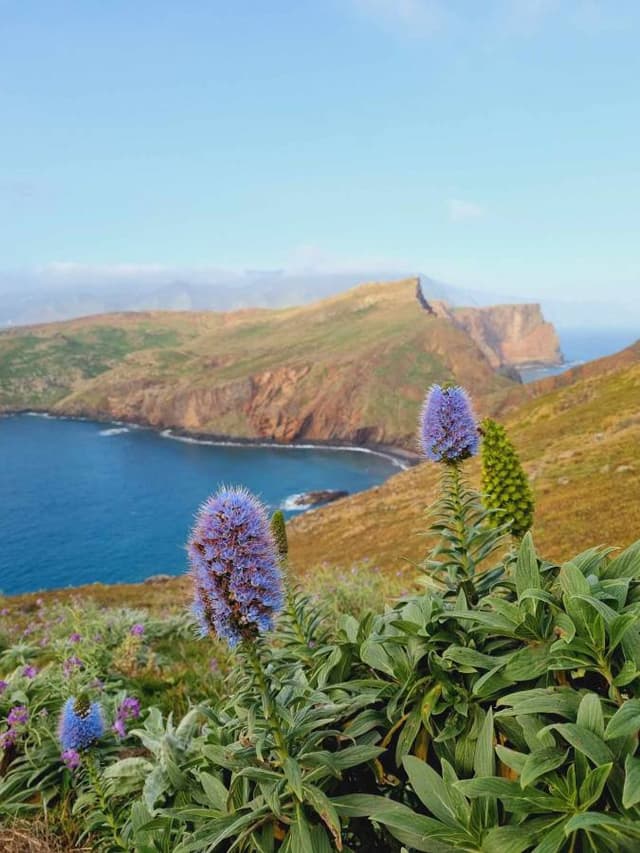 Zdjęcie 1 wykonane przez Rafal B. (19.02.24)