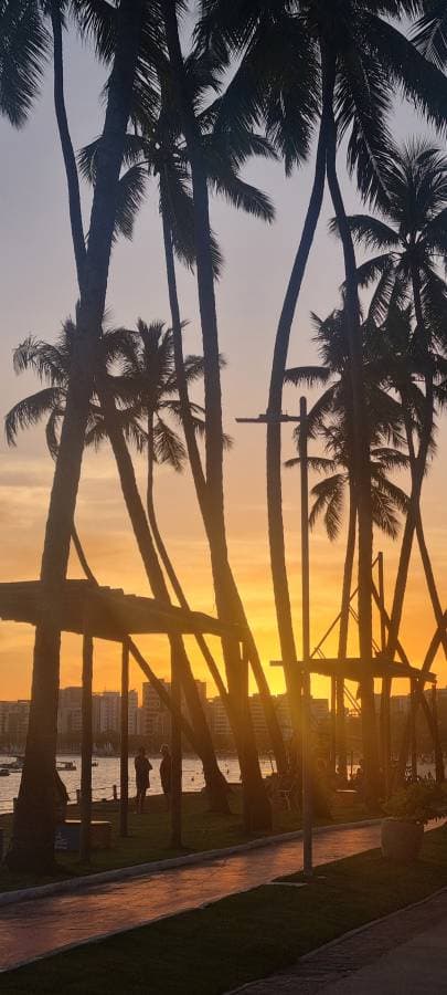 Photo 2 by Colin D. about hiring a Peugeot 208 at Salvador Airport (16.03.24)