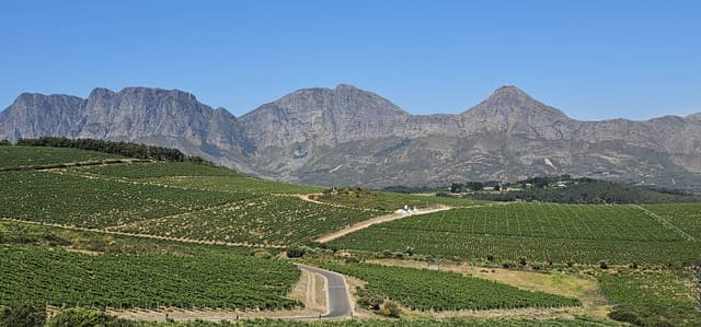 Foto 3 van Jelle J. (2-12-25)