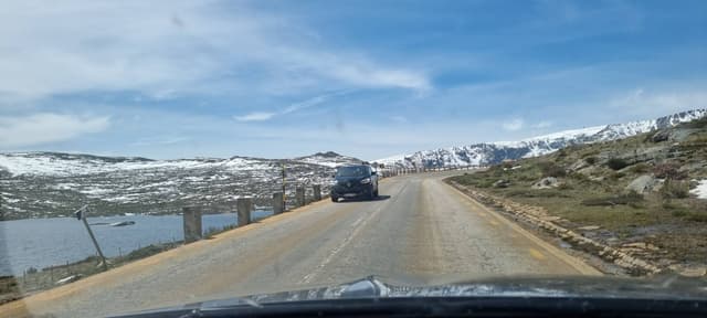 Photo 1 by Dipal A. (4/14/24)