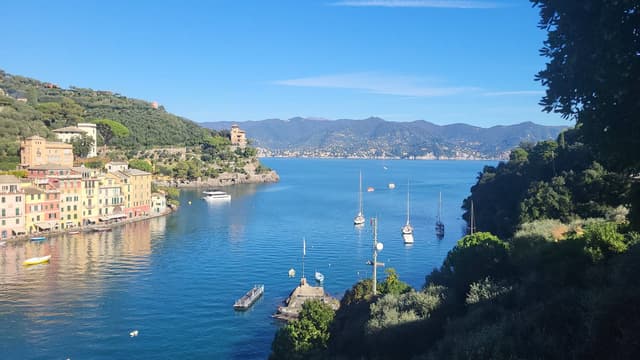 Fotografia 3 realizată de Valentin P. (06.11.25)