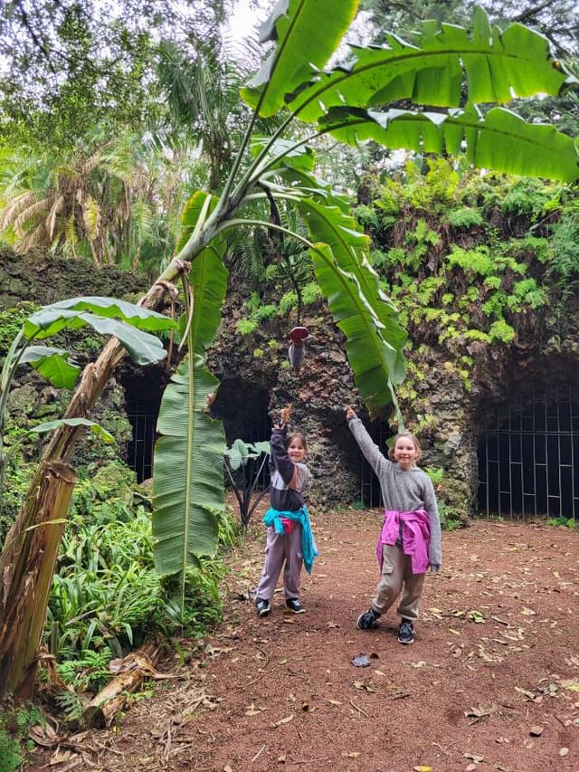 Photo 2 by Juliane P. (3/12/26)