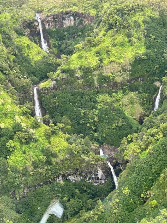 Photo 1 by Melanie F. (11/18/23)