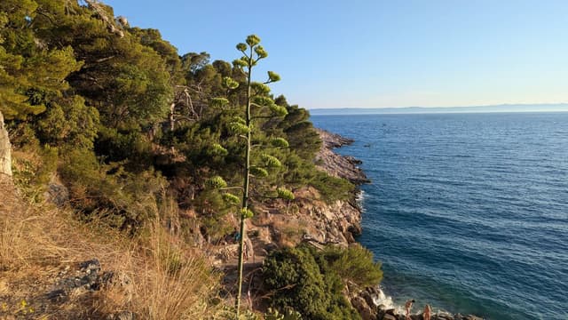 Zdjęcie 3 wykonane przez Volodymyr B. (13.07.25)