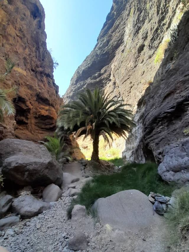 Foto 2 di Kristian A. sul noleggio di una Hyundai i10 in Spagna - alle Isole Canarie (09/10/25)