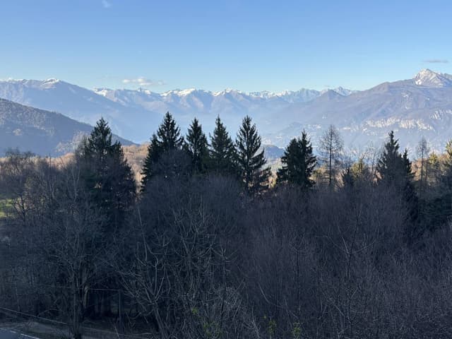 Photo 2 by Ricardo C. (4/12/26)