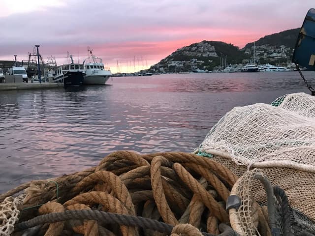 Foto de Jose luis G. (18/9/22)