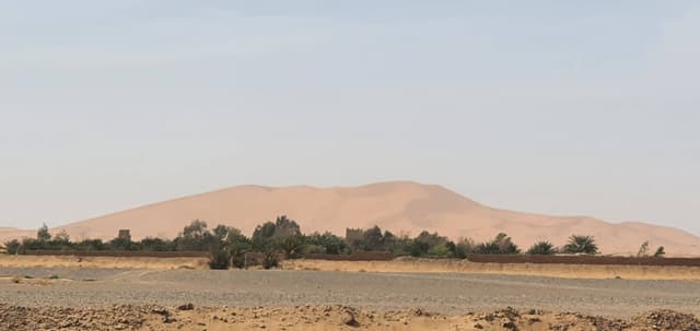 Foto 1 de Jesica A. (19/2/24)