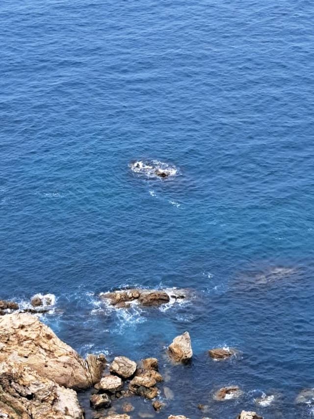 Photo 4 by Ann H. about renting a Renault Logan in Tangier (10/13/24)