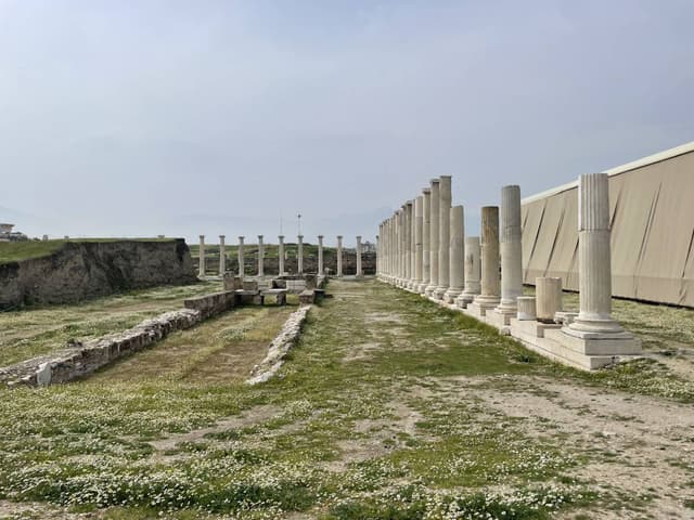 Photo by Hyedong Y. (3/25/26)