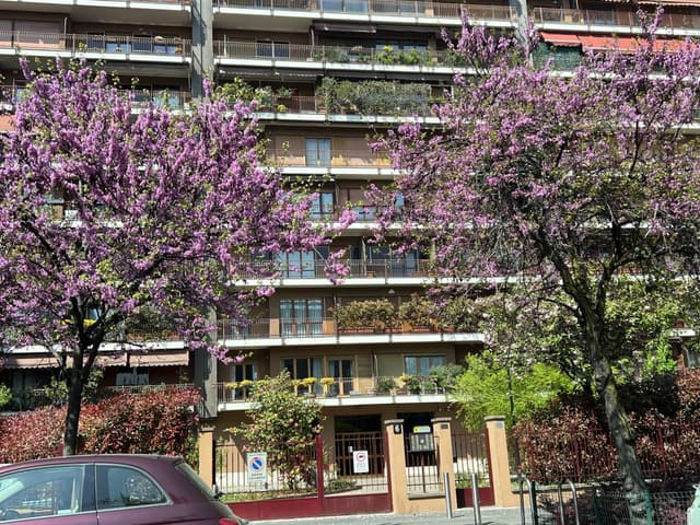 Fotografia 1 realizată de LAVINIA IULUIANA D. despre închirierea unei mașini Volkswagen T-Roc în Bergamo (08.04.25)