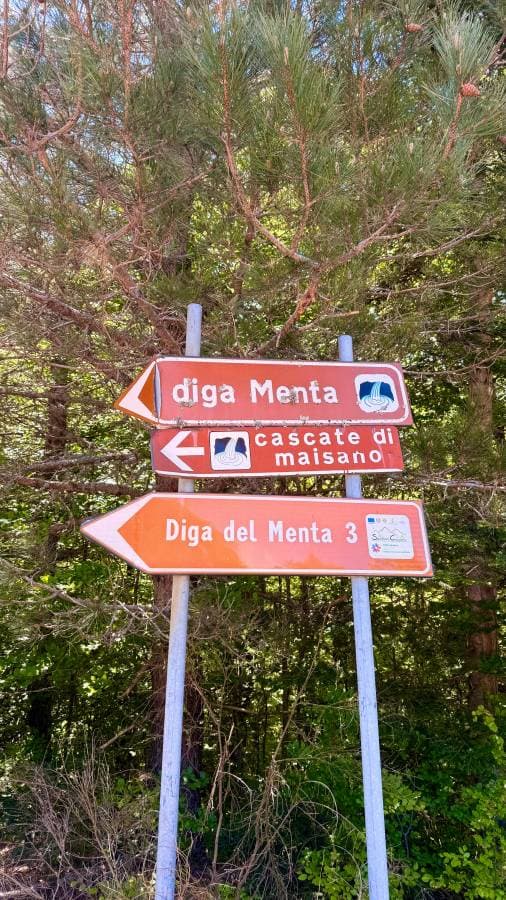Foto 2 de Adelaida F. (27/5/26)