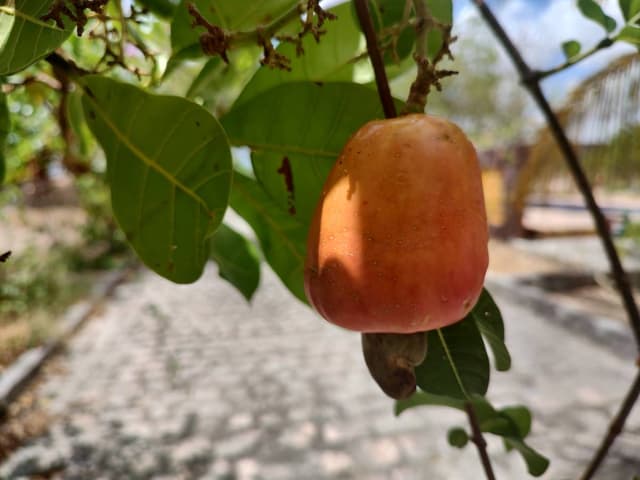 Foto de Fred Henrique P. sobre o aluguer de um Fiat Mobi em Maceió (14/12/23)