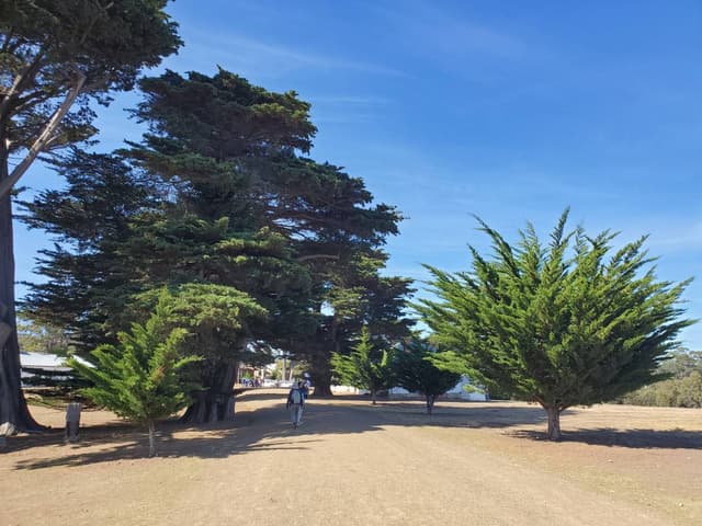 Photo 1 by CHUN WAI C. (1/23/26)