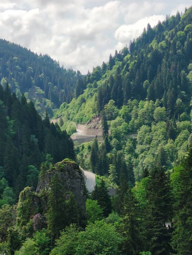 Photo 2 by Moideen H. about renting a Renault Megane in Trabzon (6/11/25)