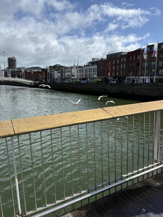 Photo 3 by Ethan R. about renting a Peugeot 108 in Dublin (9/12/24)