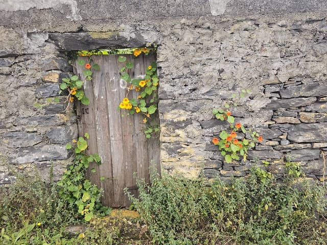 Photo 3 par Alain C. (31/05/26)