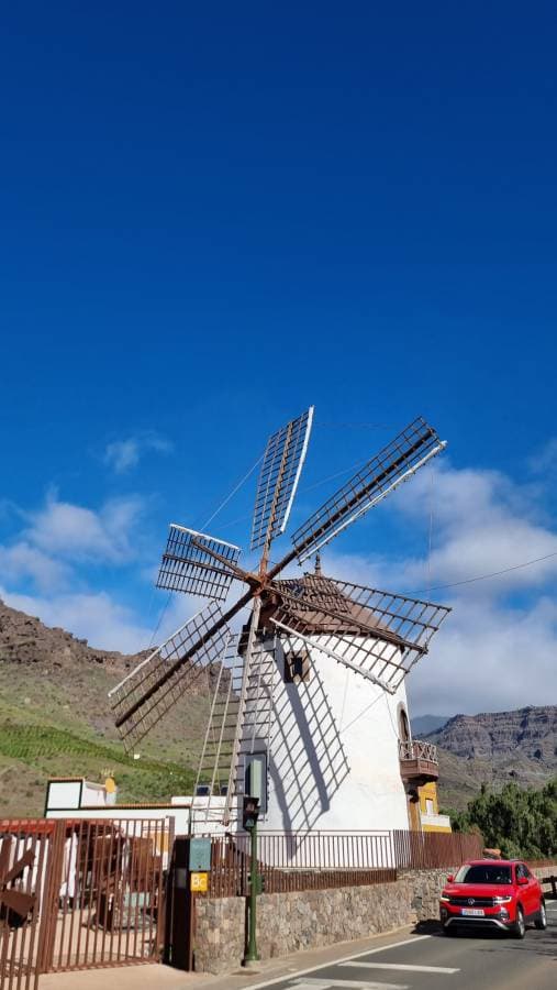 Nuotrauka 3, pateikta ZIVILE K. (26-01-12)