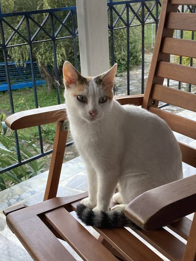 Foto 3 von Christine H. (24.10.25)