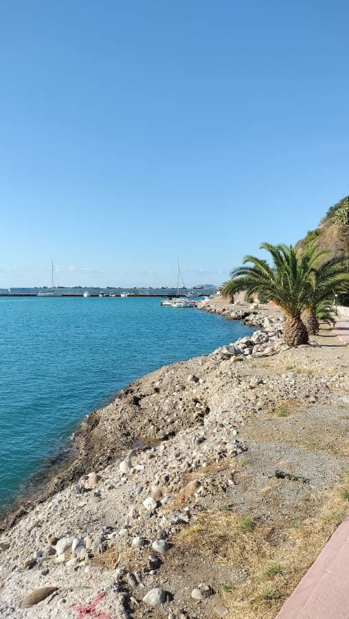 Fotografia 2 realizată de Silvia G. (09.10.25)