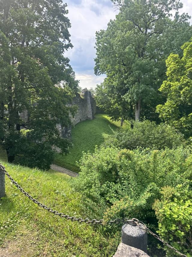 Photo 2 by Marisa J. about hiring a Volkswagen Polo in Latvia (14.07.25)