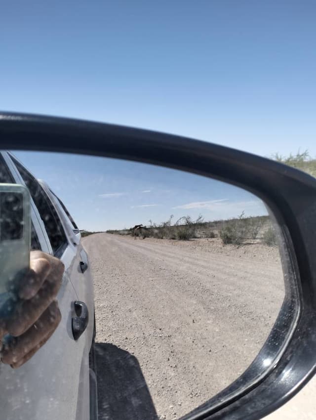 Foto 1 de JOSE ANTONIO M. (10/1/24)