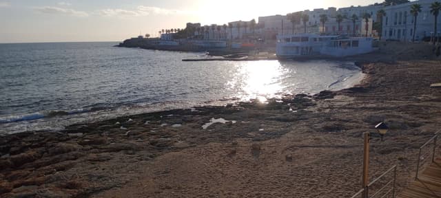 Foto 3 von Diana P. (2.11.25)