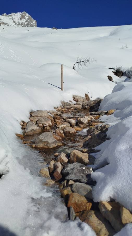 Foto 1 di Luca M. (25/02/26)