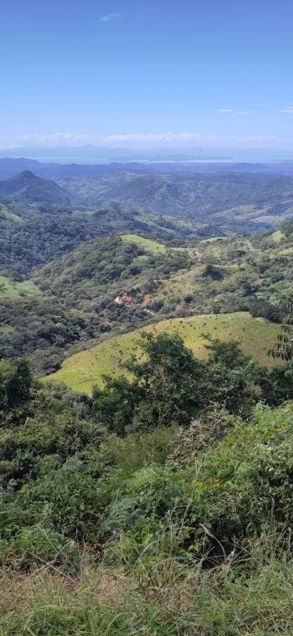 Billede 4 af Laura W. om at leje en Hyundai Creta i Costa Rica (12/17/23)