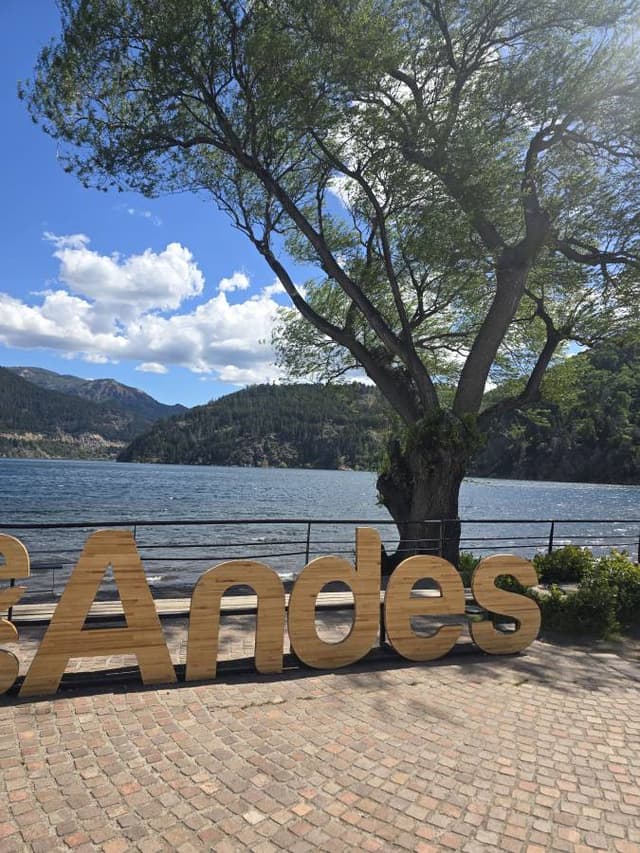 Foto 4 de DIANA M V. (14/11/25)