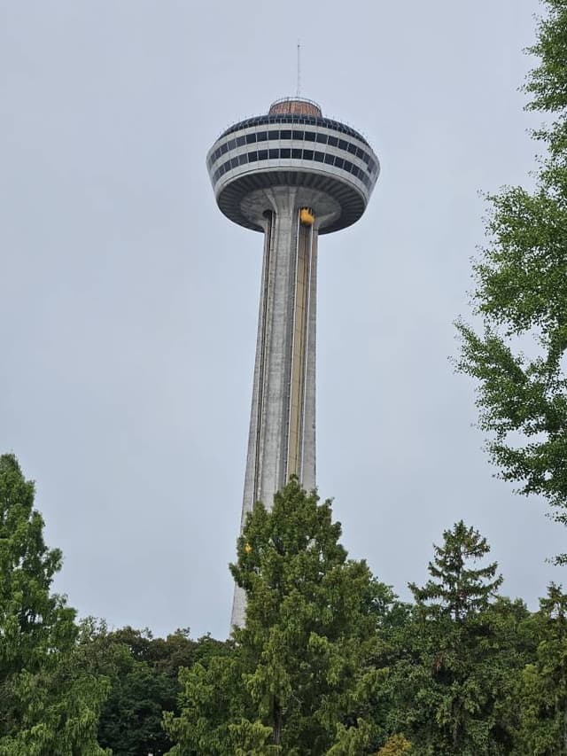 Photo 3 by meir M. about renting a Toyota RAV4 at Toronto Airport (9/25/24)