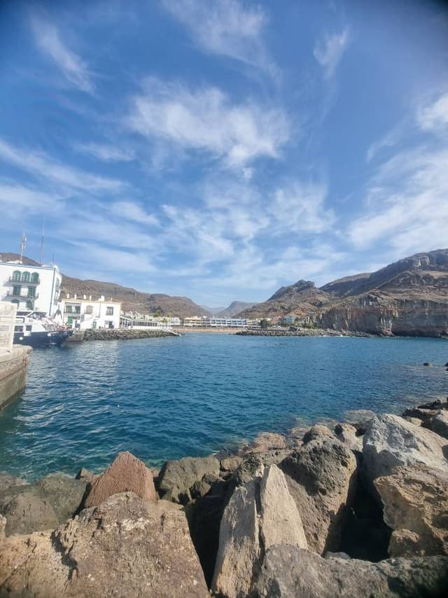 Photo 2 by Boyko K. (2/28/26)