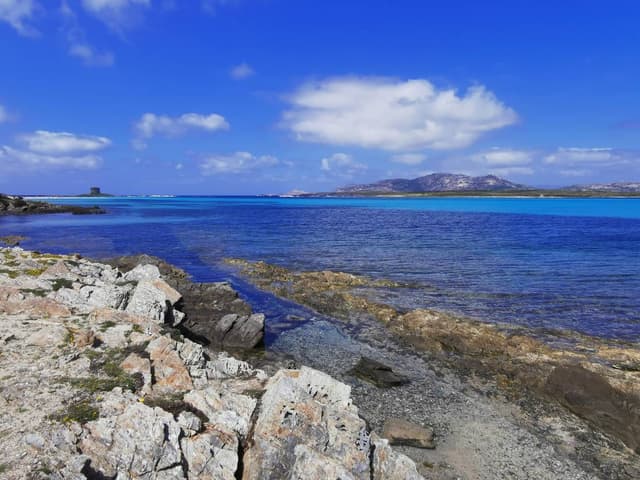 Photo 2 by Lisstette Nataly P. about renting a Fiat Panda in Alghero (5/2/25)