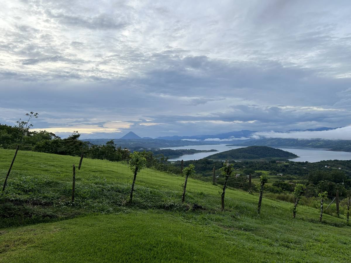 Photo 2 by Andrew C. (7/8/24)