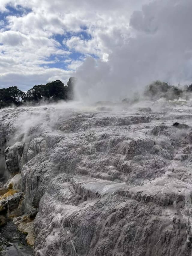 Photo by Roxanne D. (3/16/26)