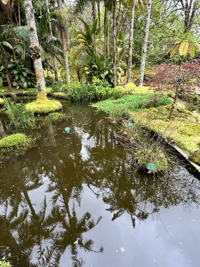 Photo 1 by Viviana P. about renting a Fiat Panda in the Azores Islands (5/22/25)
