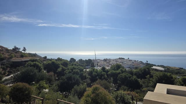 Photo by Audrius P. (10/26/25)