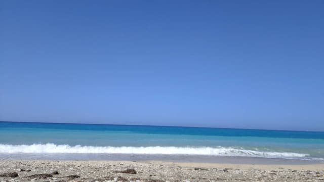 Photo 2 by Sonia C. (7/18/26)